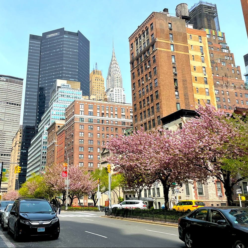 Meet your Posher, Liz